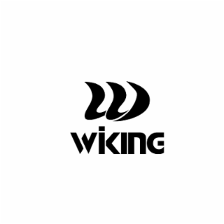 VVWINKING logo