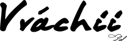 VVÁCHII PAREL logo
