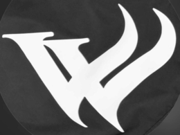 VW logo
