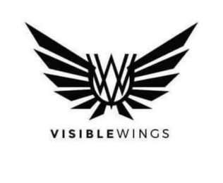 VW VISIBLE WINGS logo