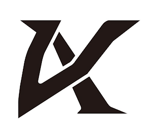 VX logo