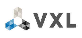 VXL logo