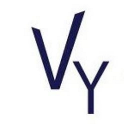 VY logo
