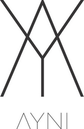 VY AYNI logo