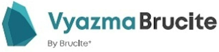 VYAZMABRUCITE BY BRUCITE+ logo