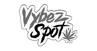 VYBEZ SPOT logo
