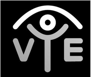 VYE logo