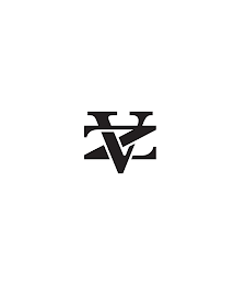 VZ logo
