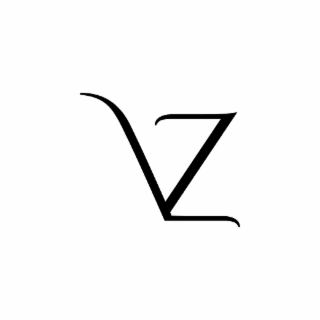 VZ logo