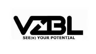 VZBL SEE(K) YOUR POTENTIAL logo