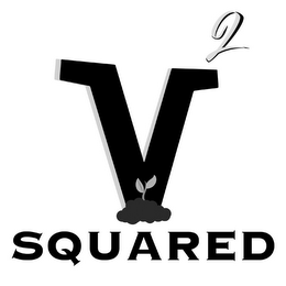 V² SQUARED logo
