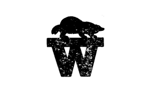 W logo