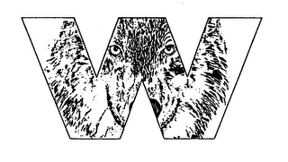 W logo