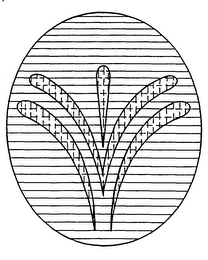 W logo