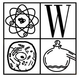 W logo