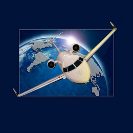 W logo