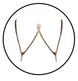 W logo