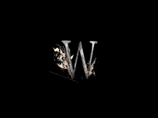 W logo