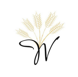 W logo