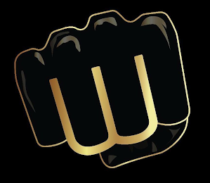 W logo