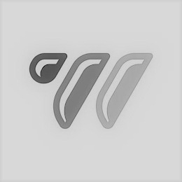 W logo