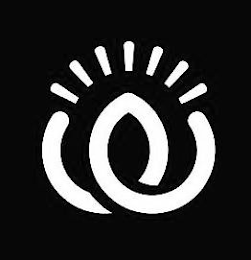 W logo