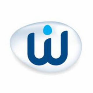W logo