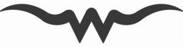 W logo