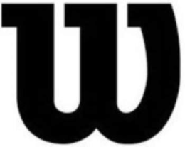 W logo