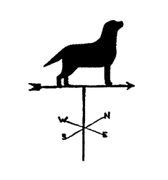W N S E logo