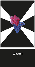 W O W ! logo