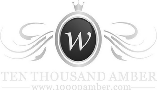 W TEN THOUSAND AMBER WWW.10000AMBER.COM logo