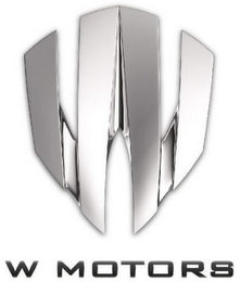 W W MOTORS logo