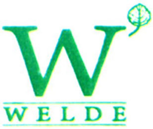 W WELDE logo