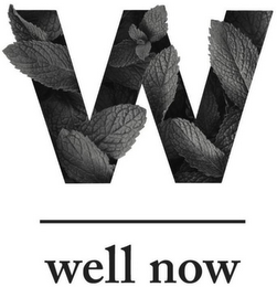 W WELL NOW logo