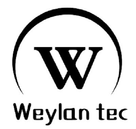 W WEYLAN TEC logo