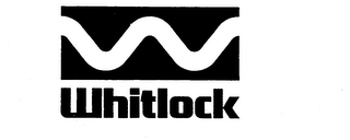 W WHITLOCK logo