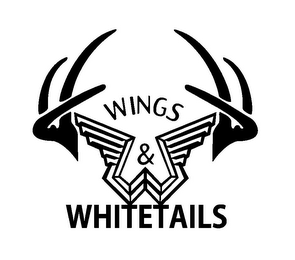 W WINGS & WHITETAILS