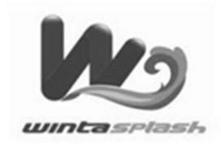 W WINTASPLASH logo