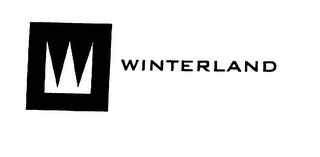 W WINTERLAND logo