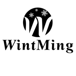 W WINTMING