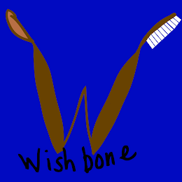 W WISHBONE logo