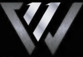 W11 logo