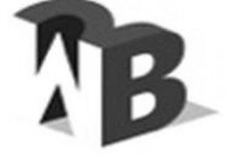 W2B logo