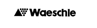 WAESCHLE logo