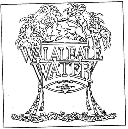 WAIALEALE WATER logo