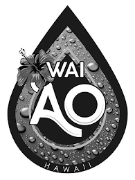 WAIAO HAWAII logo