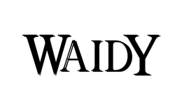 WAIDY logo