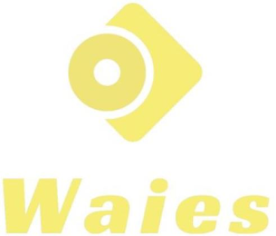 WAIES logo