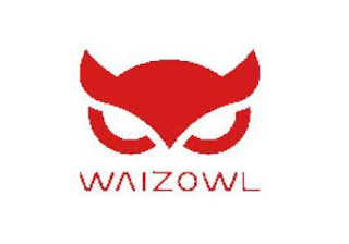 WAIZOWL logo